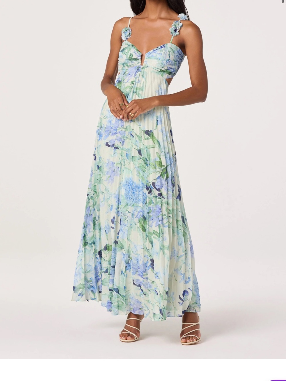 Astr the Label Emese Floral Pleated Maxi Dress in Blue-Green